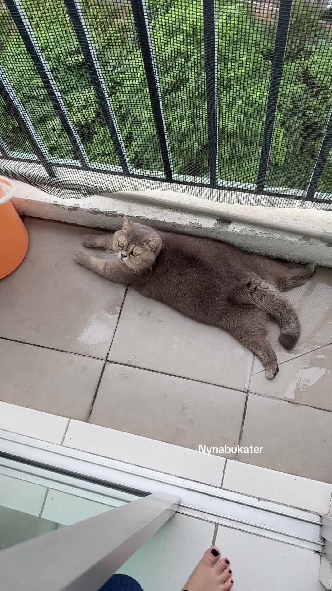 @Nynabukater