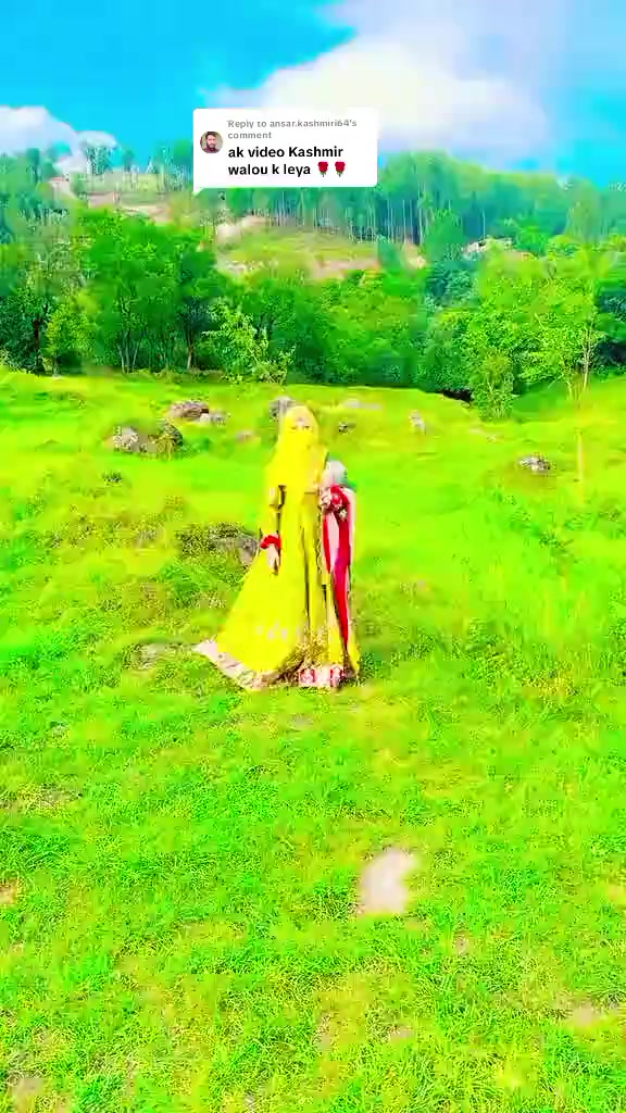@seemaqari3