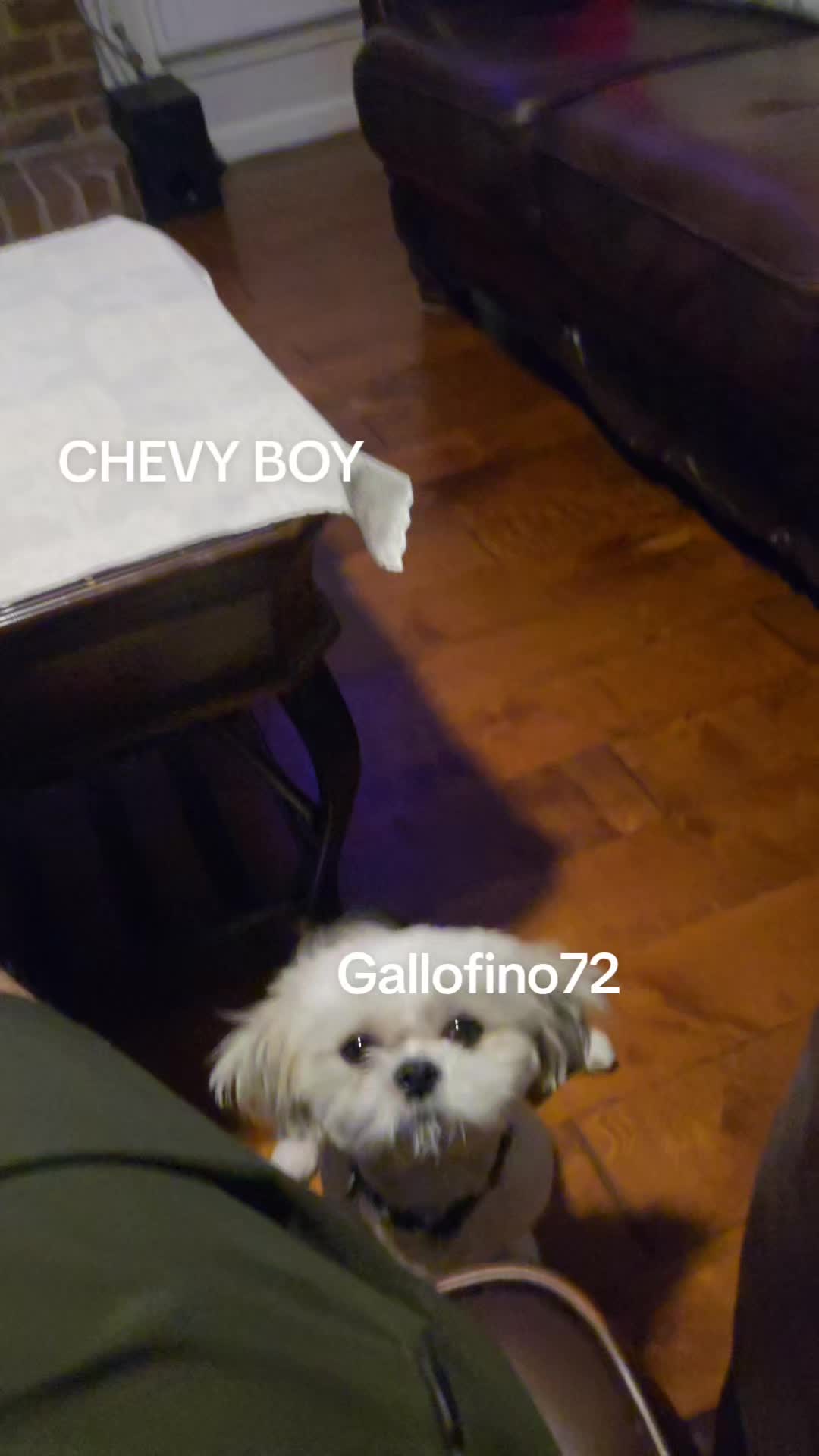 @ElGalloFino