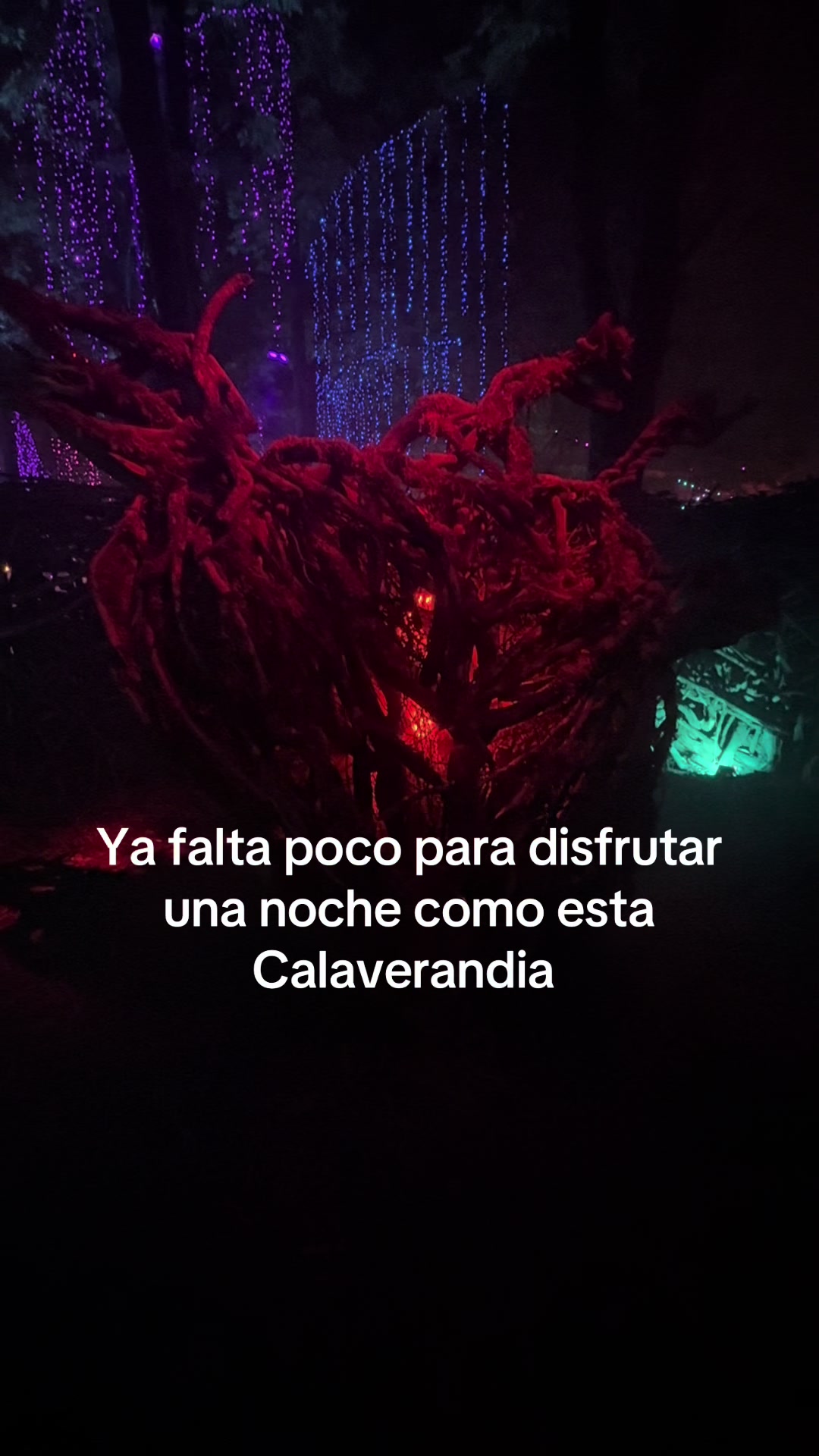 @Rozzygutierrez