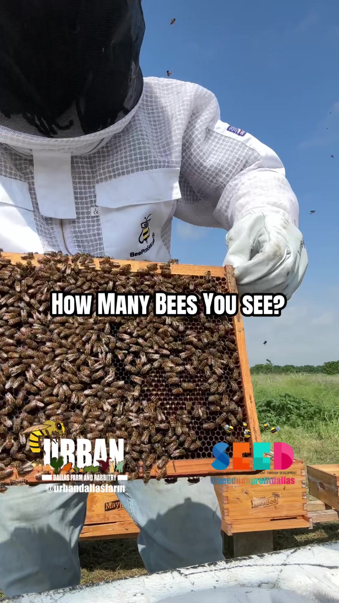 @Urban Dallas Farm