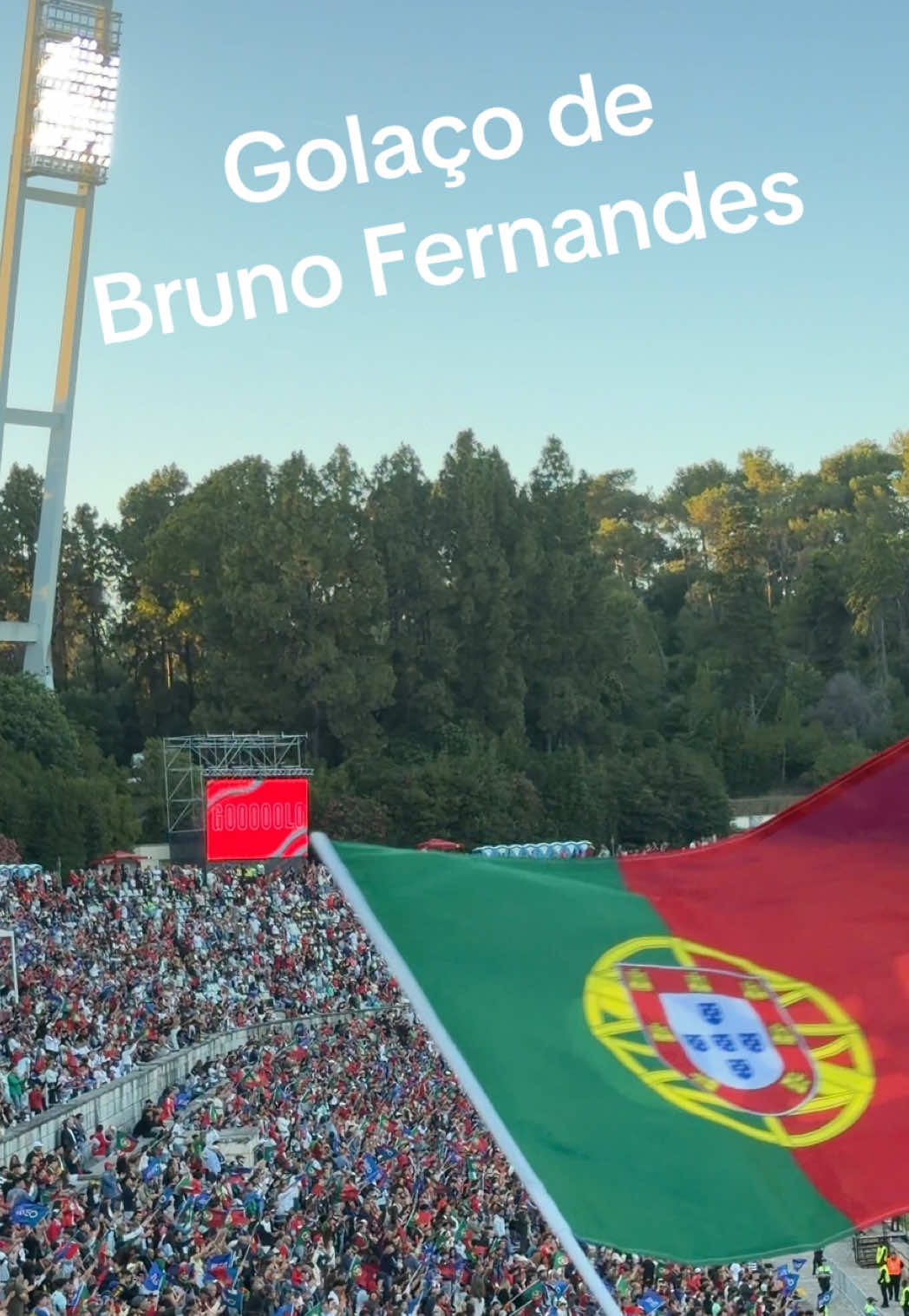 @🇵🇹🫶Pedro🫶🇵🇹