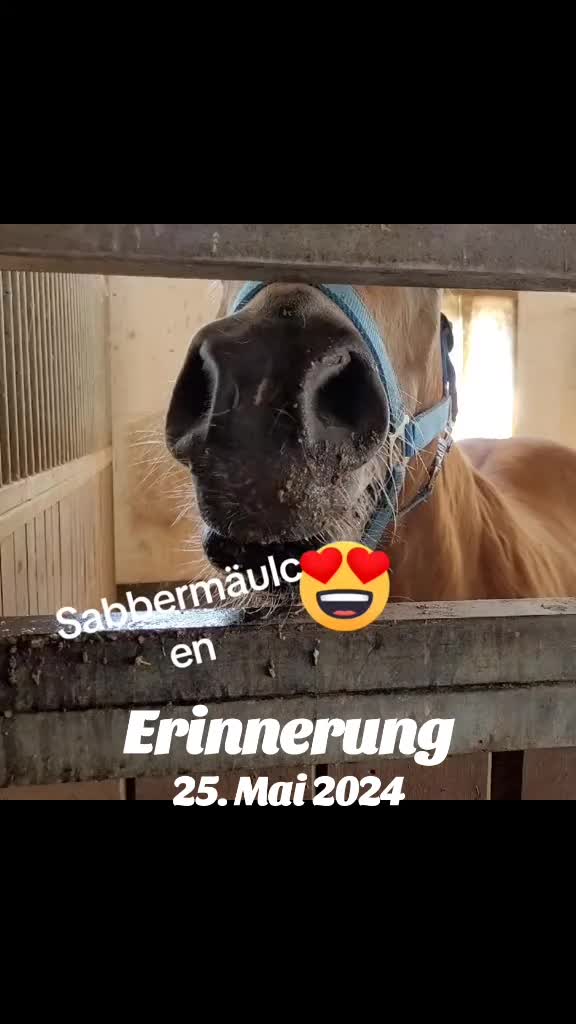 @Petra