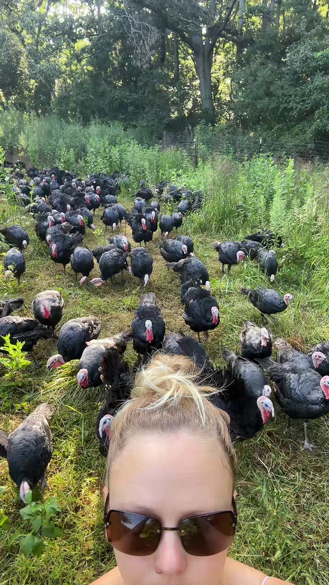@farmerandtheharpiist