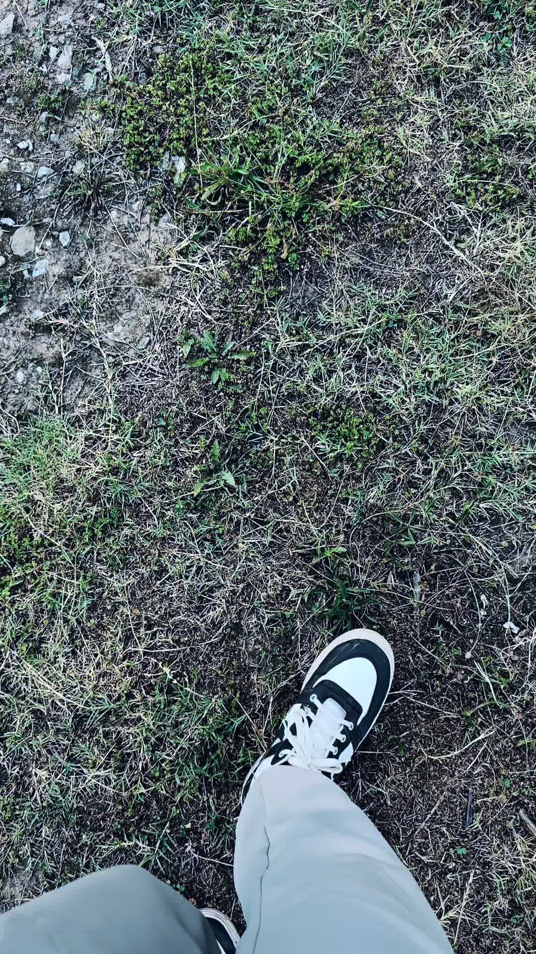 @𝐖 𝐀 𝐋 𝐄 𝐄 𝐃 🏳️