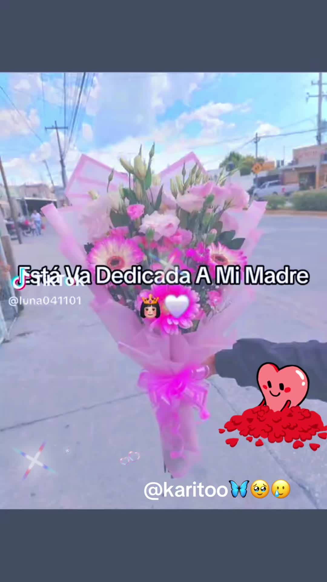 @C@rolin@.S@ndov@l🦋🌸🌹