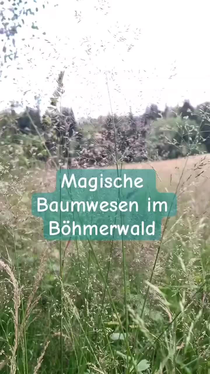 @hoiwazopf