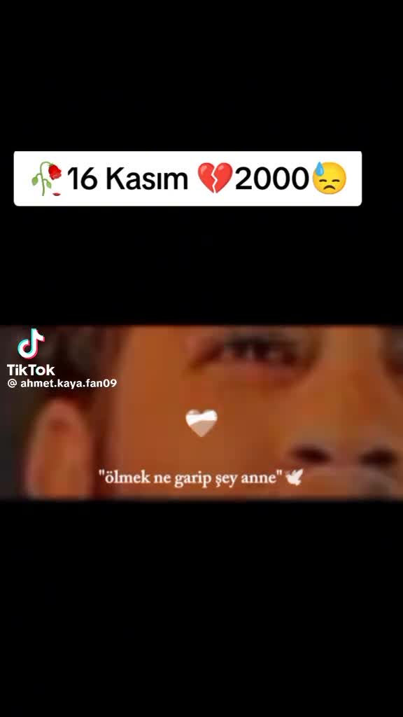 @Mahsum Sincar