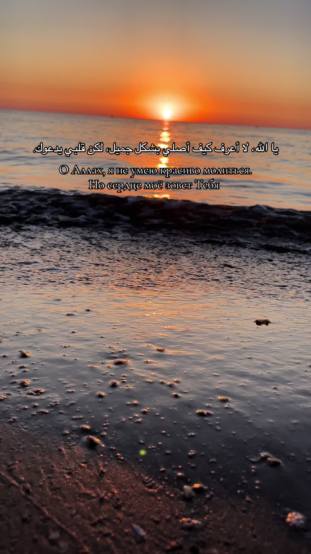 @Islam_religia_❤🇵🇸❤