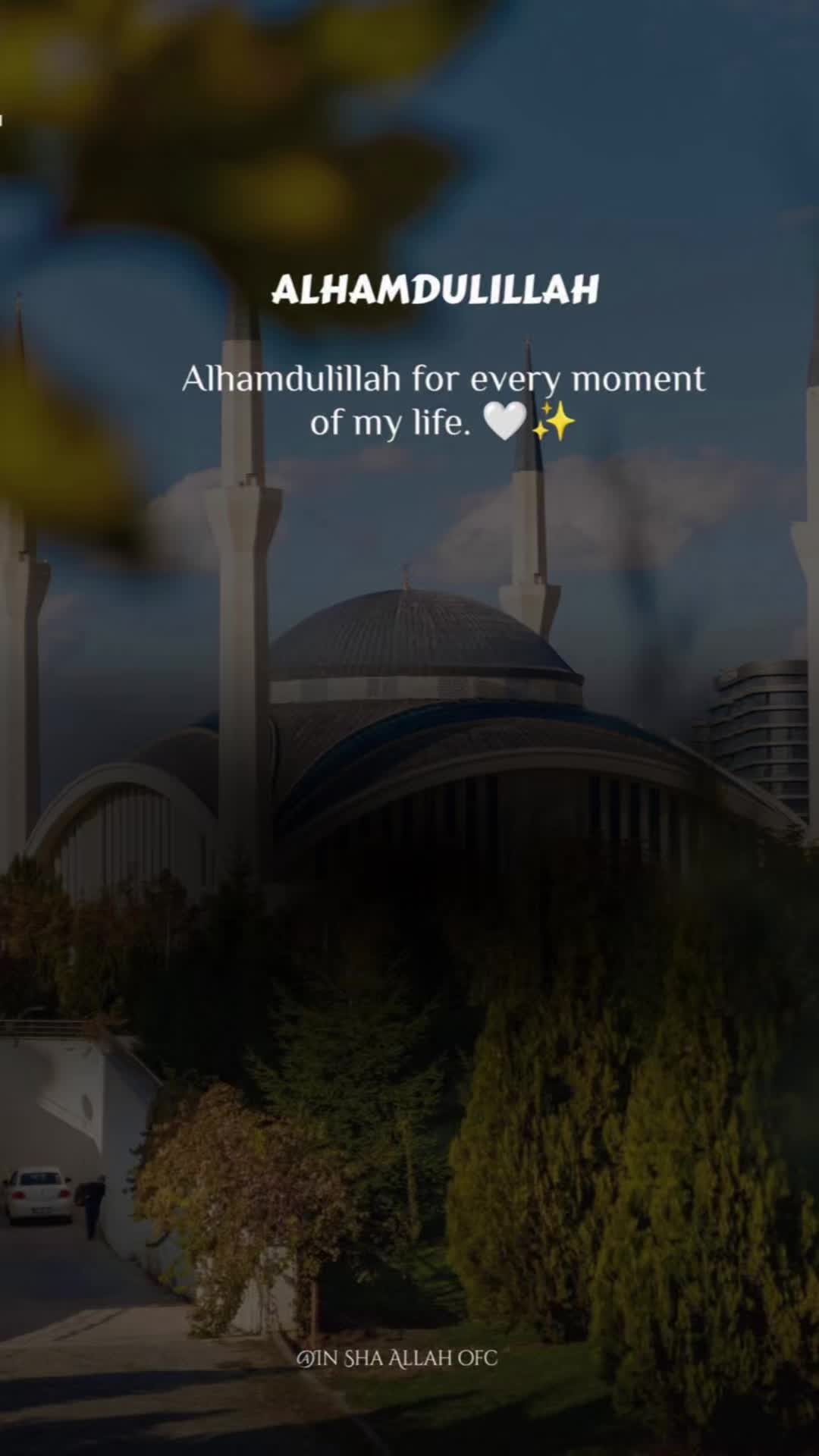 @Akleema