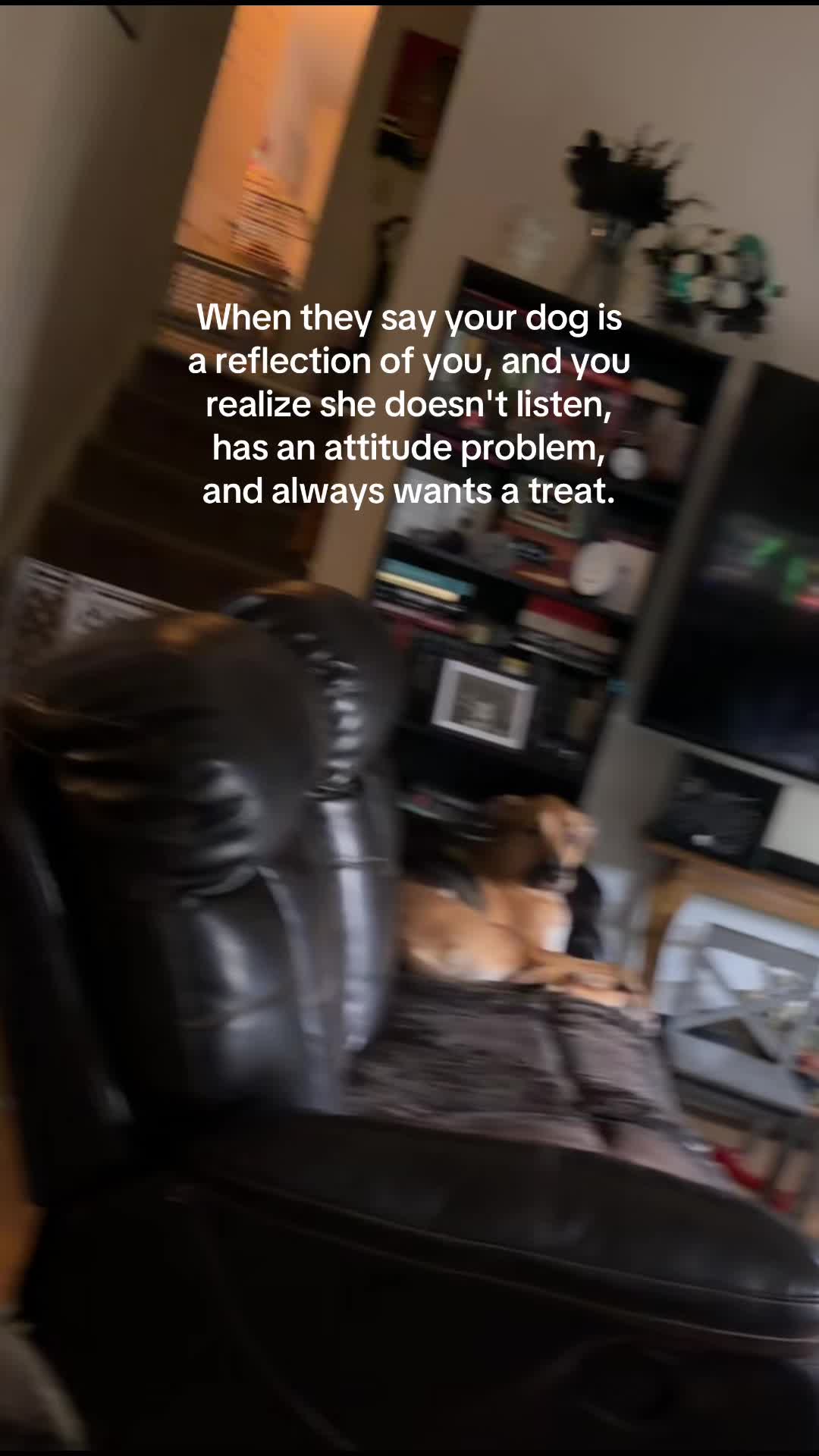 @broozedez0phogus