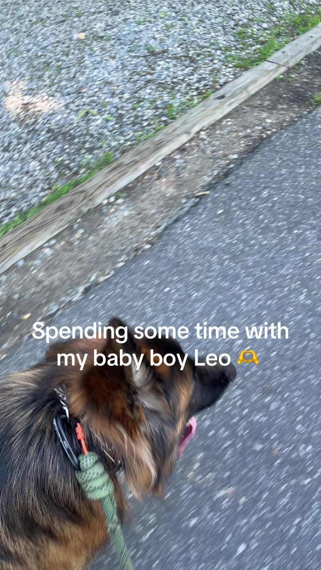 @LisaLisa