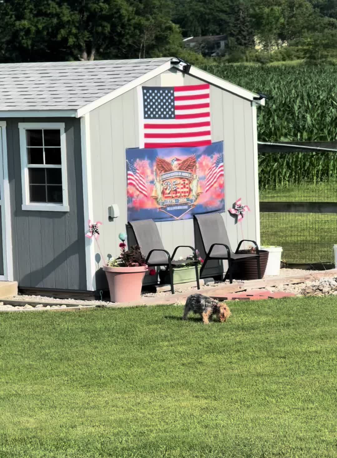 @masonyorkieandmom18
