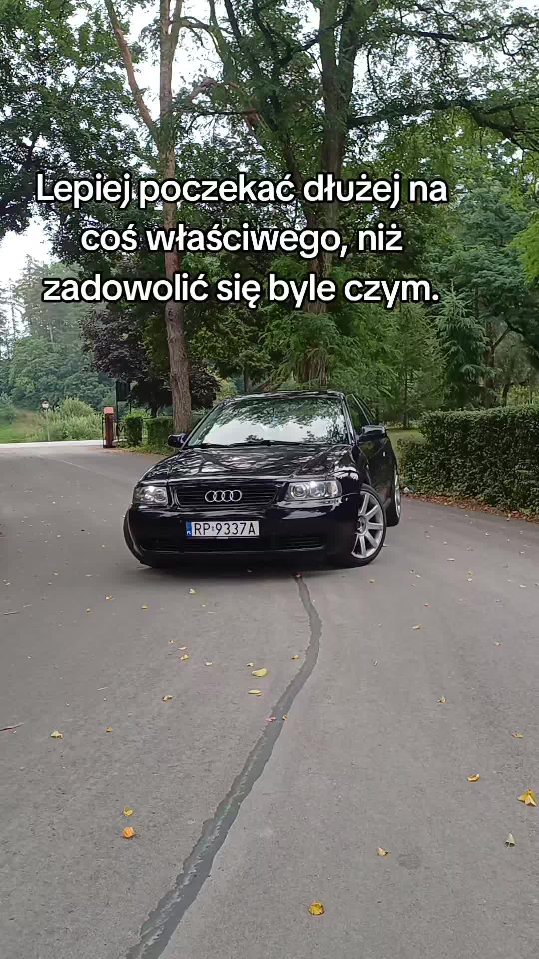 @Lysik_19