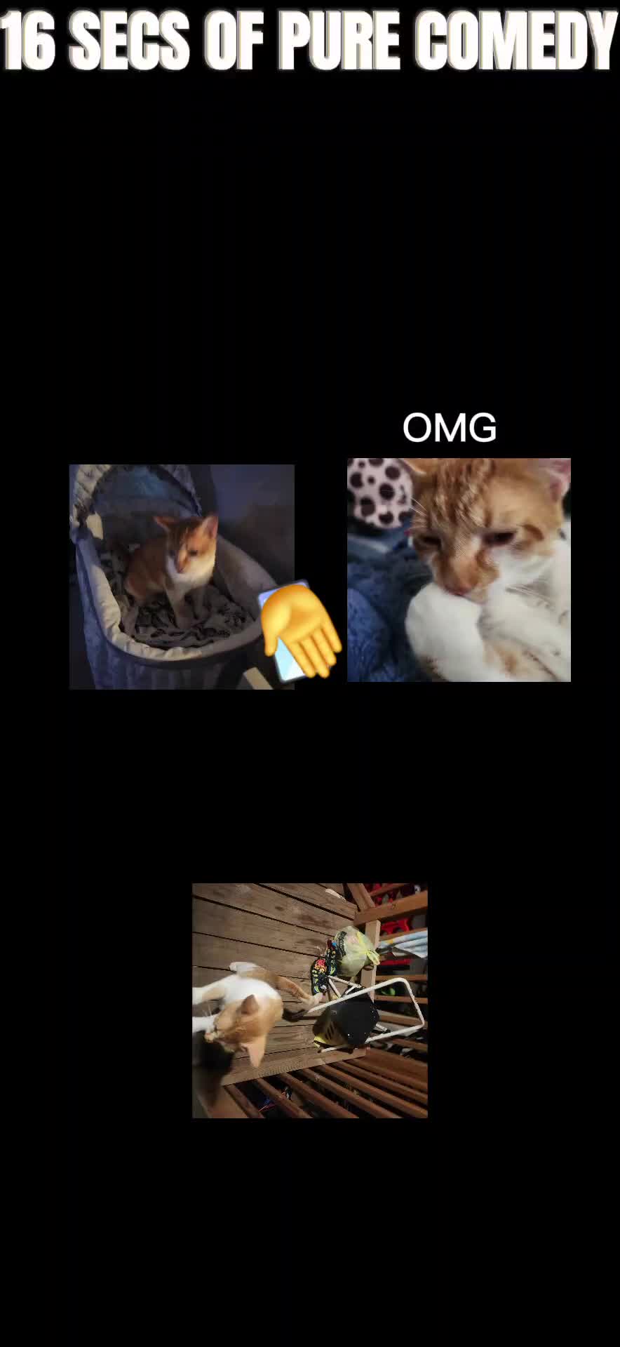 @pickles_hammy