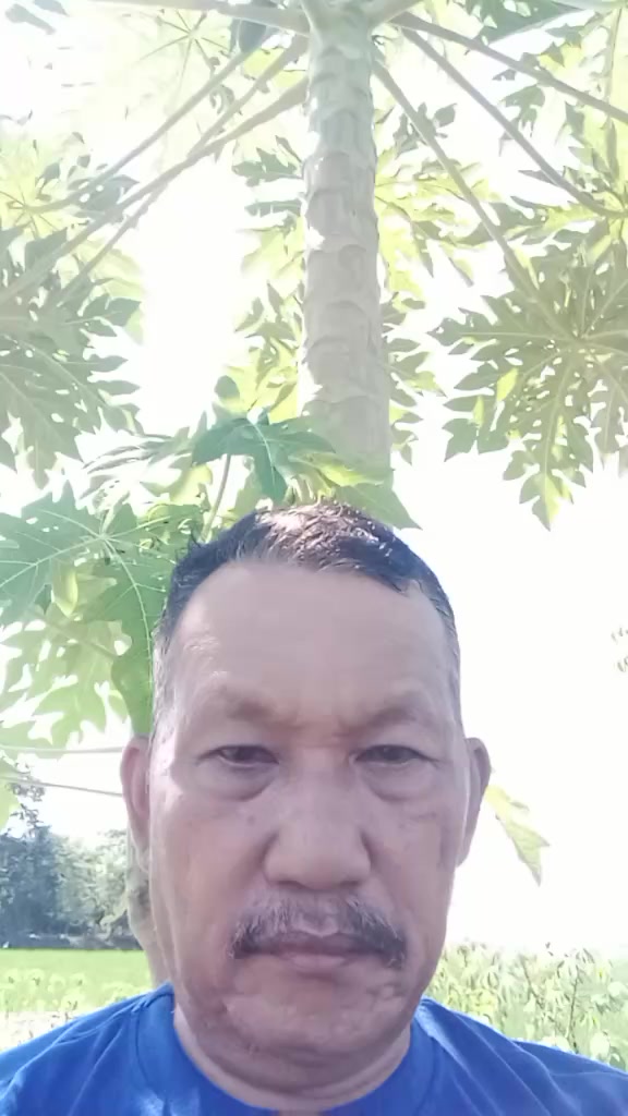 @seter