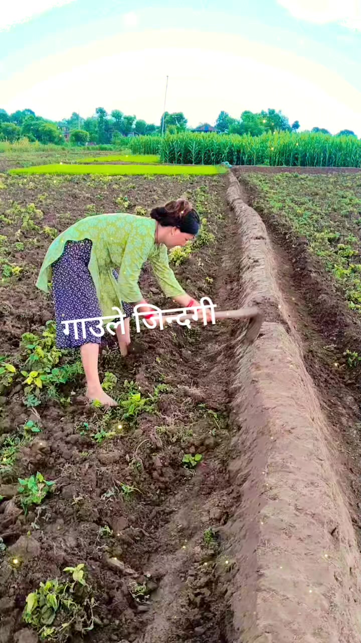 @Bindu Kc62