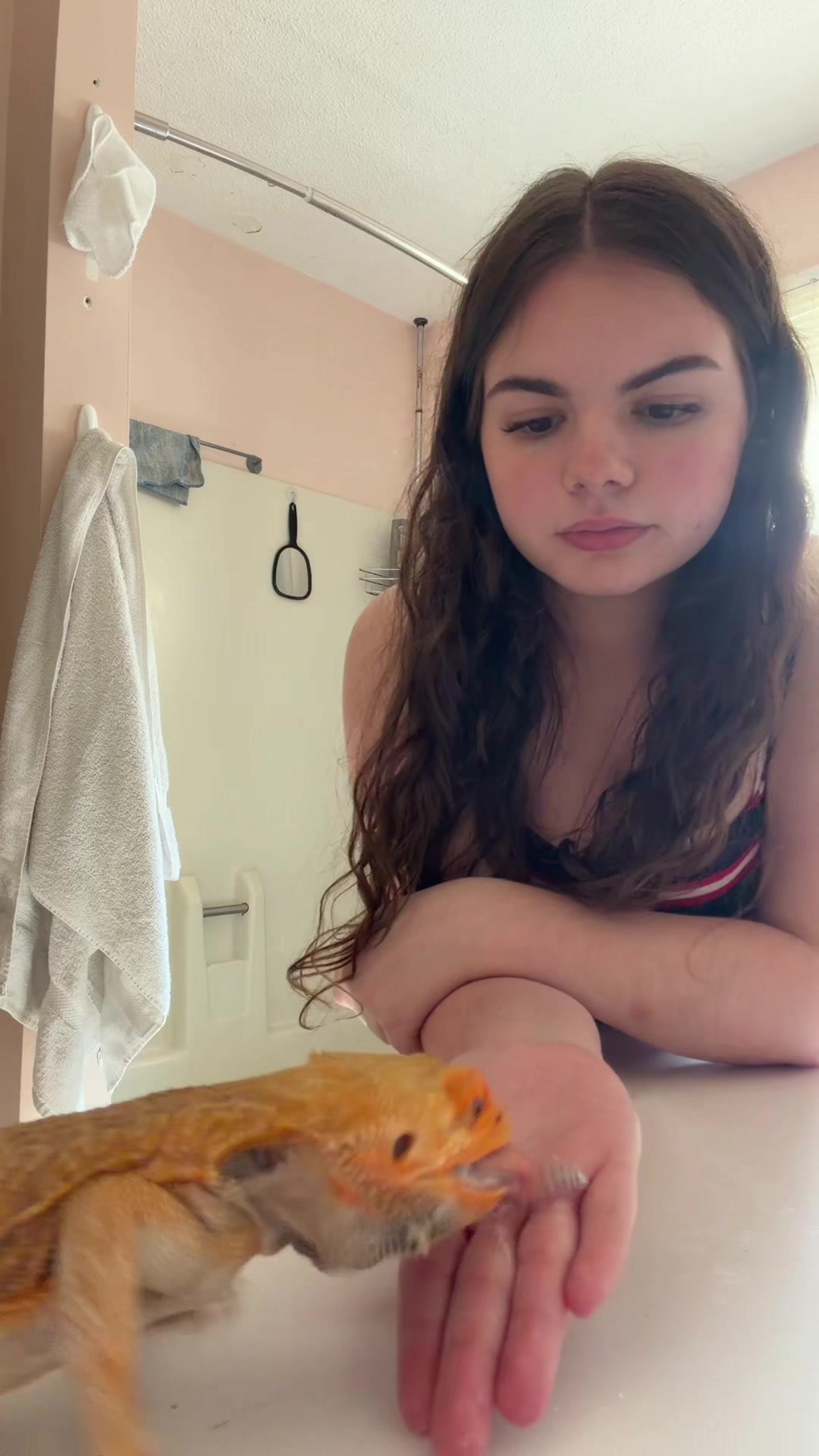 @meatymitch65