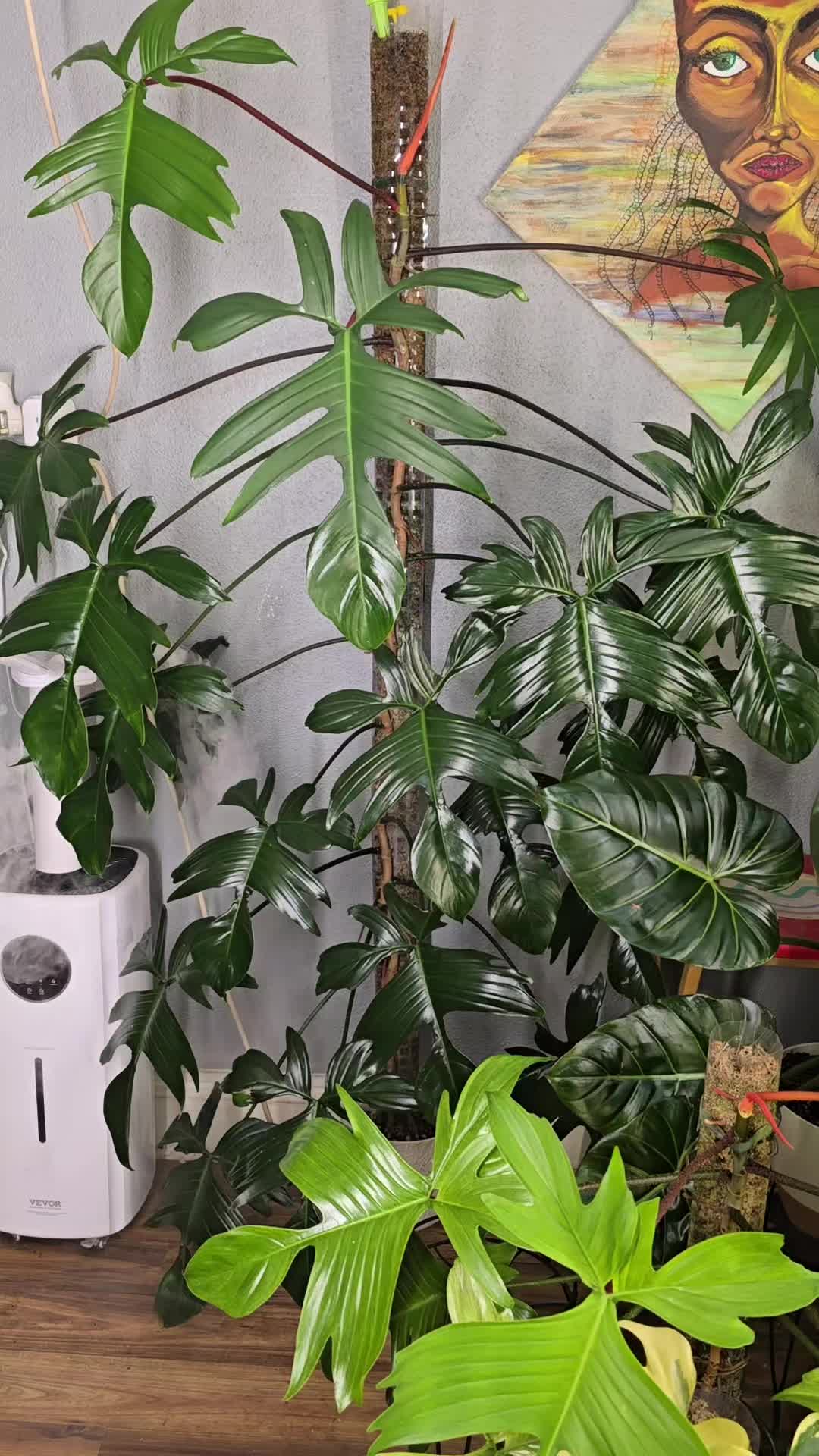 @JT - BigEGOPlants