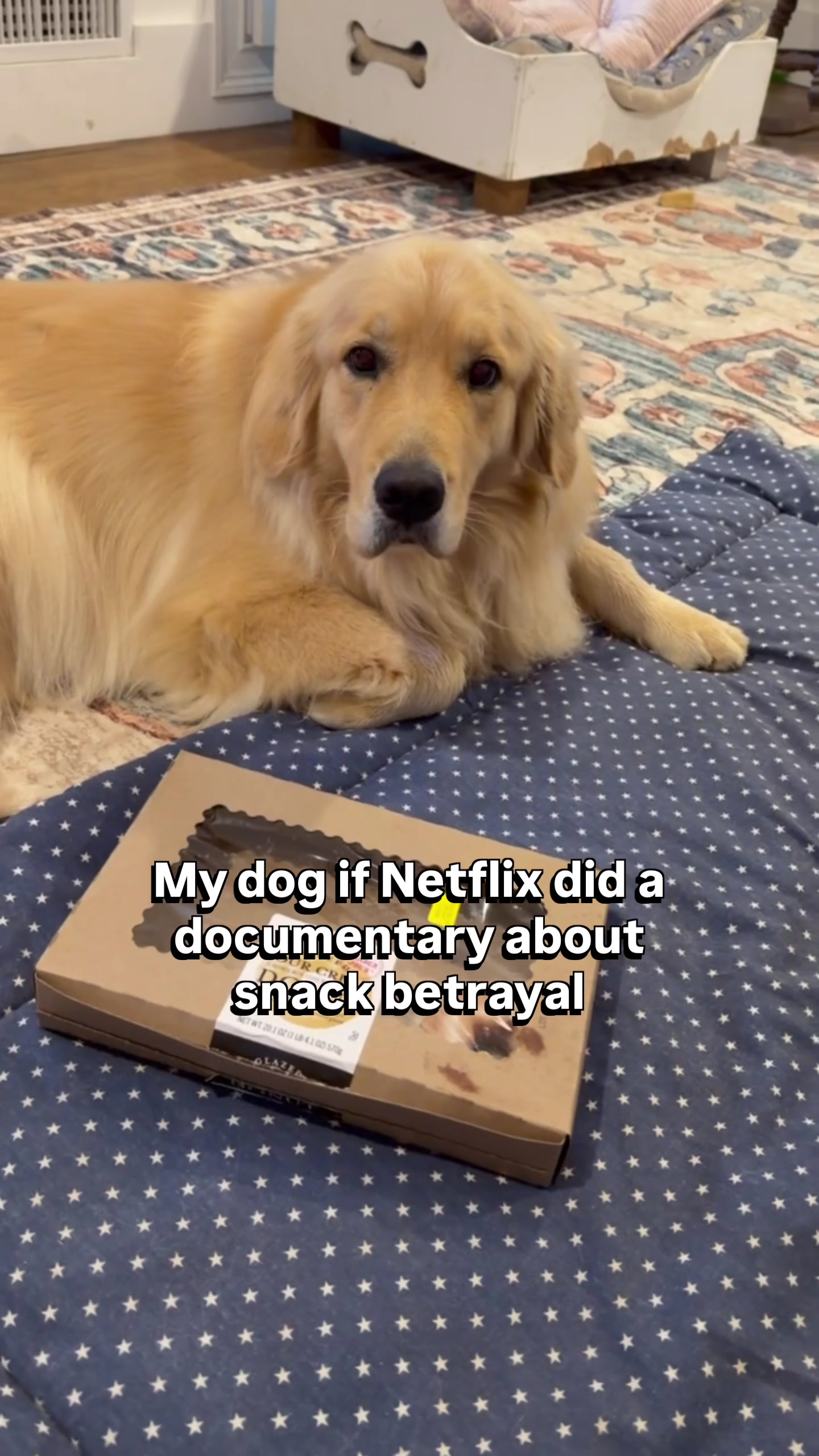 @DogMomisms
