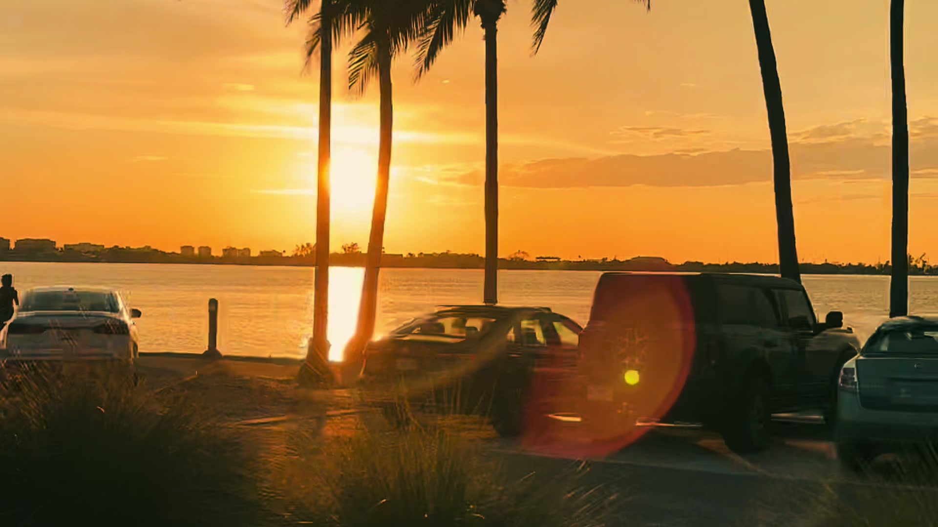 @Sarasota Local Guide 🌊🏝️