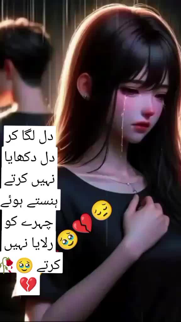 @Hassan Hussain💞