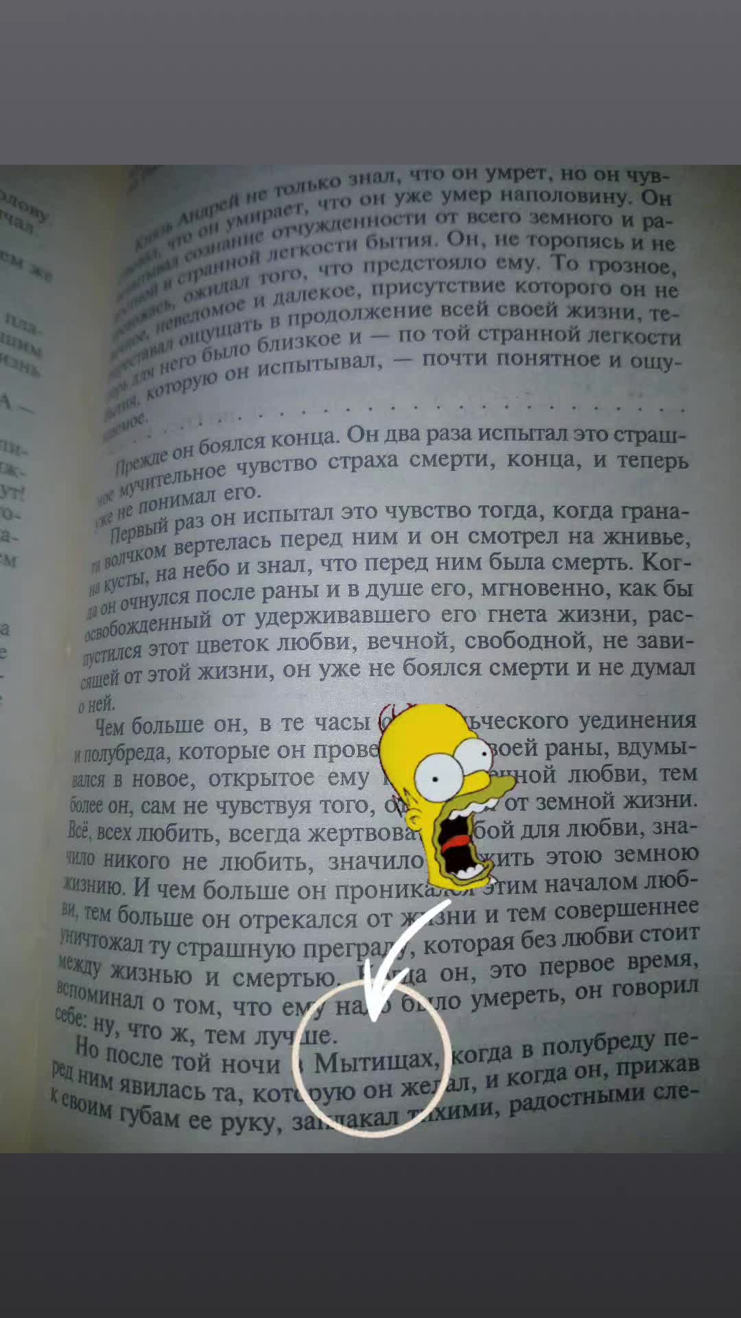 @𝙾𝚌𝚑𝚞𝚖𝚎𝚌𝚔𝚒𝚢