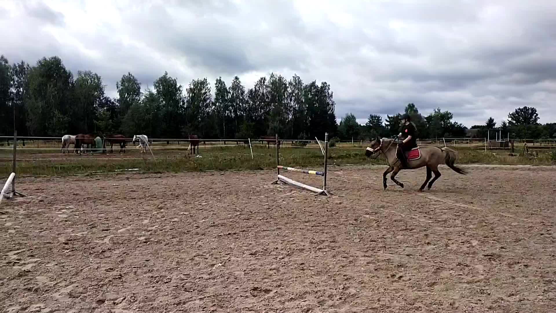 @jula.eq