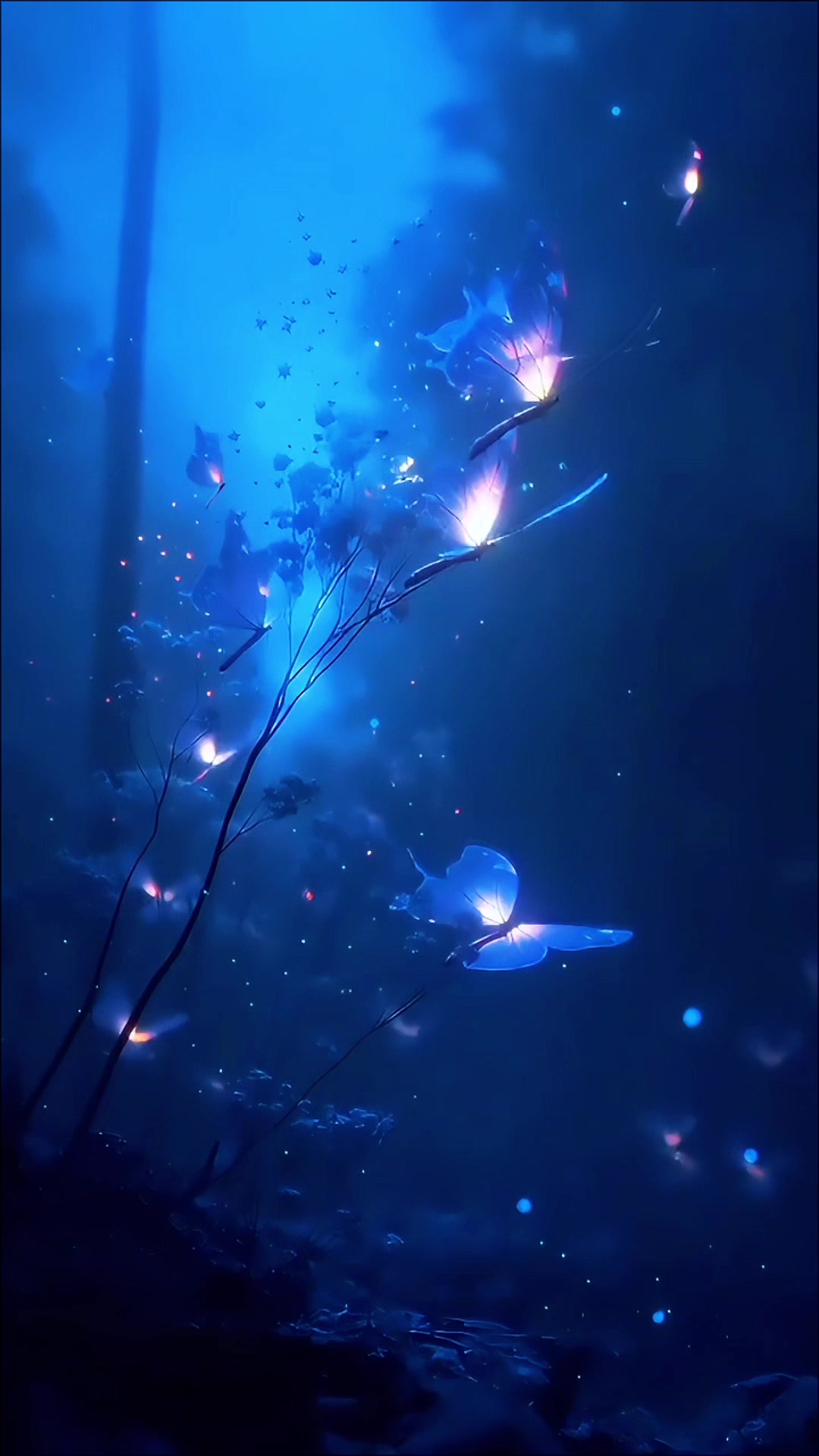 @✧✿✧˖°𝓑𝓮𝓷𝓭𝓲𝓬𝓲𝓸𝓷°˖✧✿✧