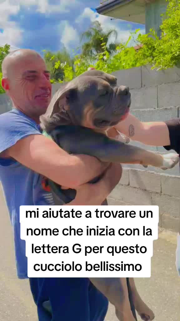@Alfio Arcifa Magistrale