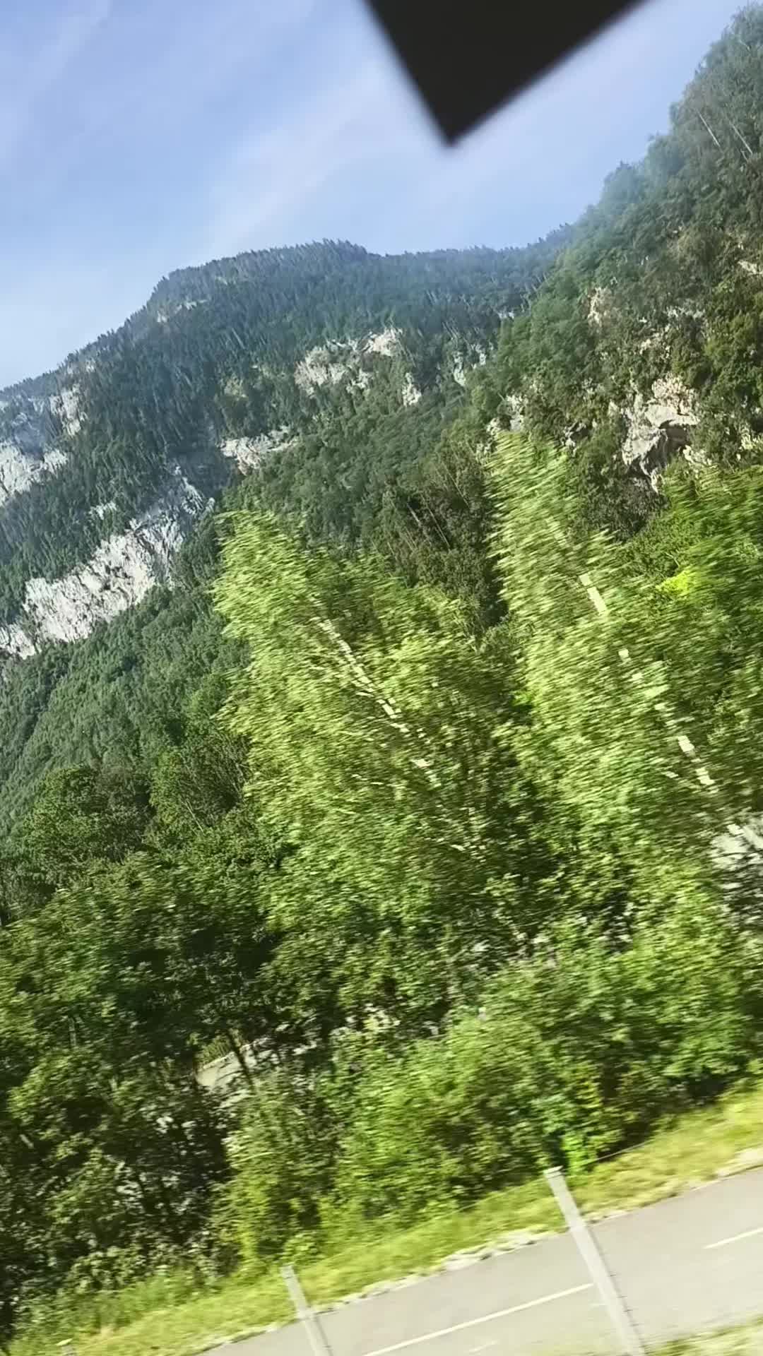 @gujjri_queen 👸🏻🇵🇰🇫🇷