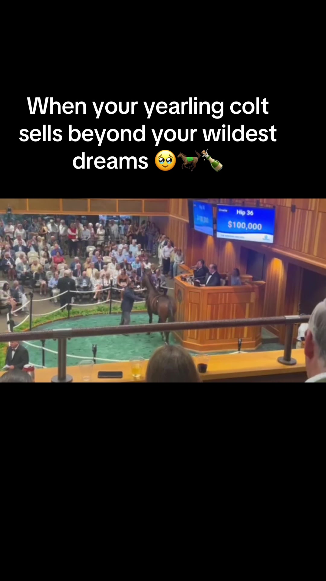 @MesingwFarm