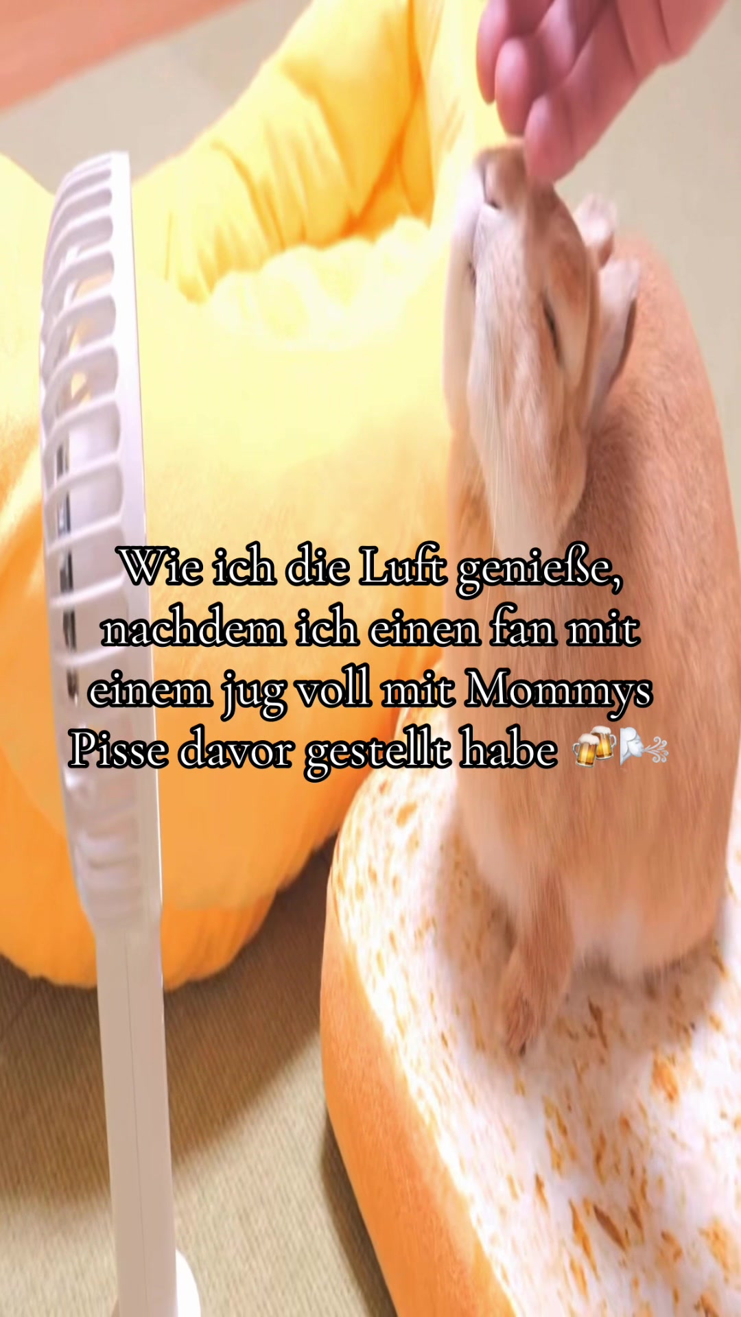 @Eierkopfsalat