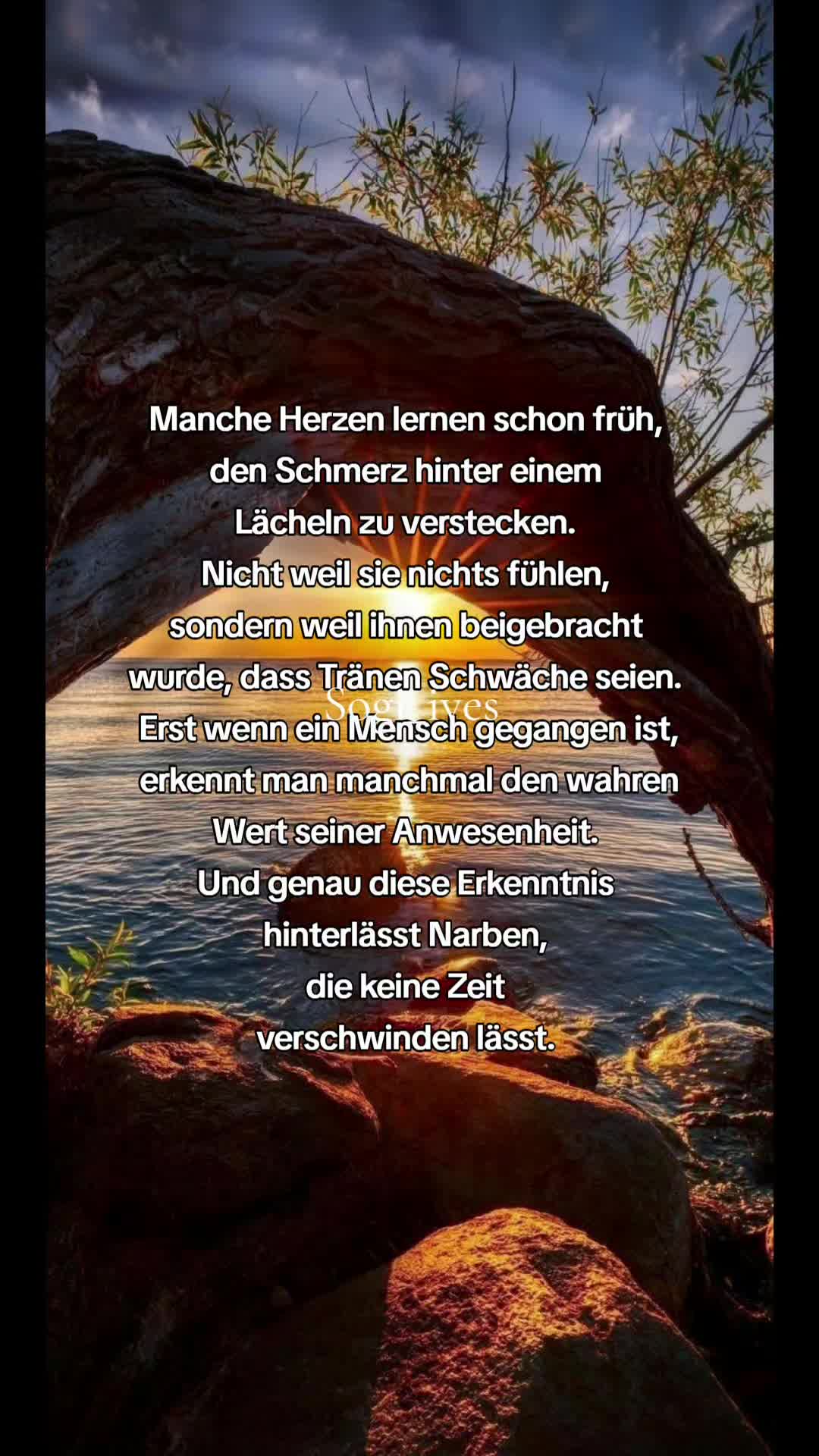 @🦋🍀 sogi Ives 🍀🦋