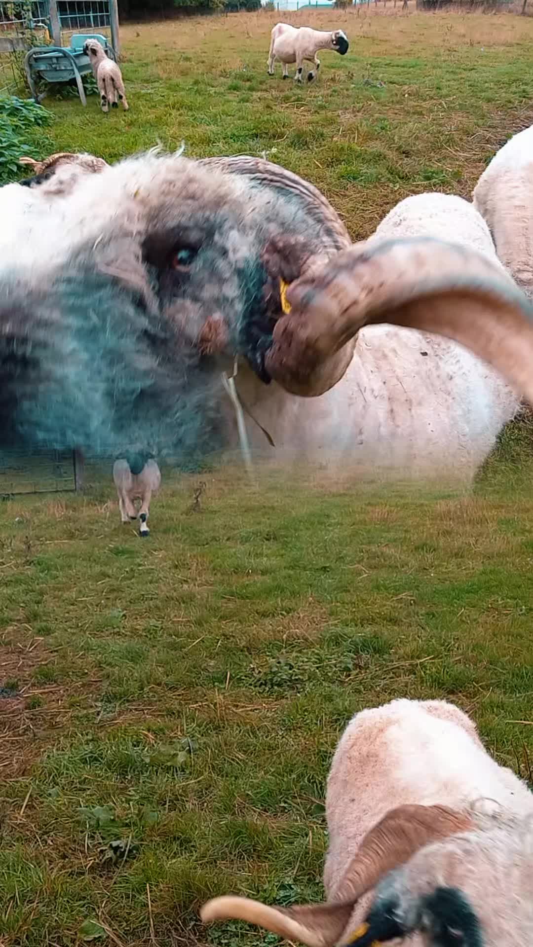 @🦚🆃𝓲𝓮𝓻🅿𝓪𝓻𝓴🆃𝓸𝓴🦚
