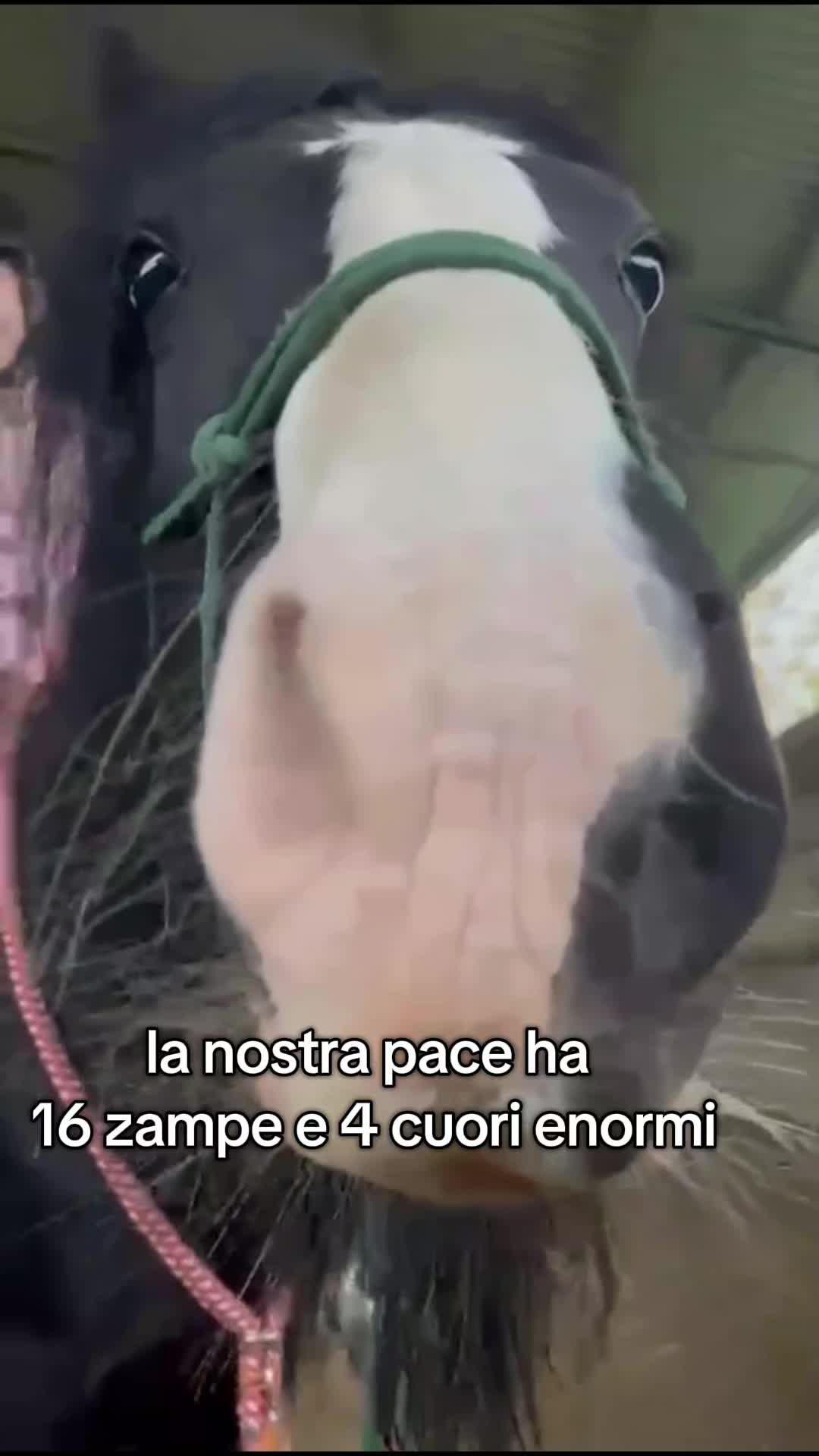 @Miky&Marty