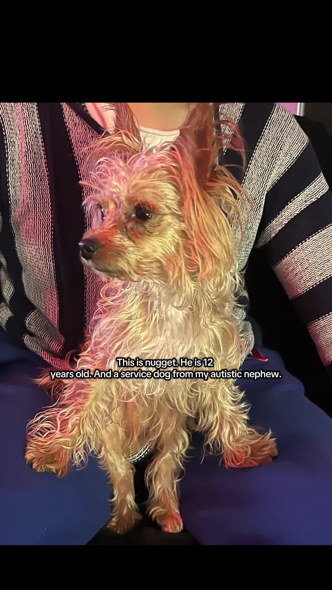 @Dani
