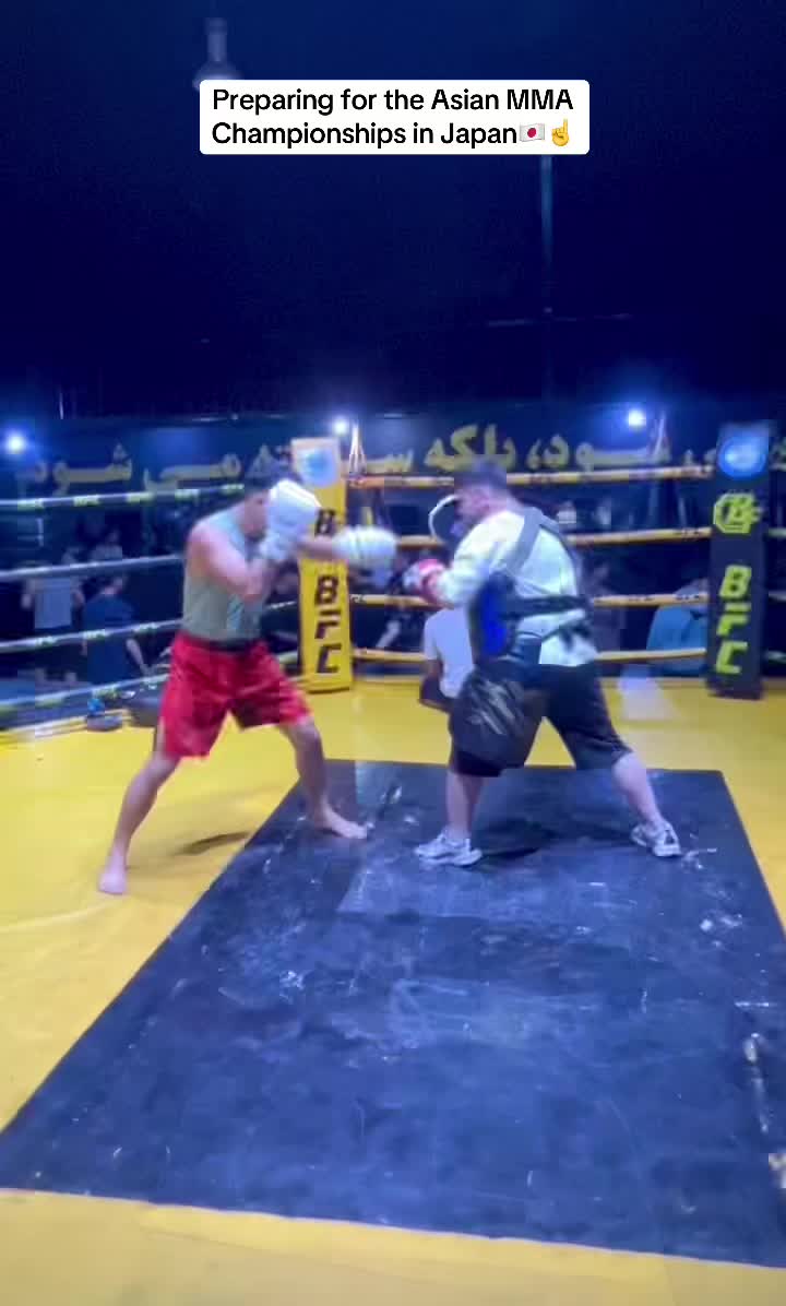 @Khalil Arsalani 51