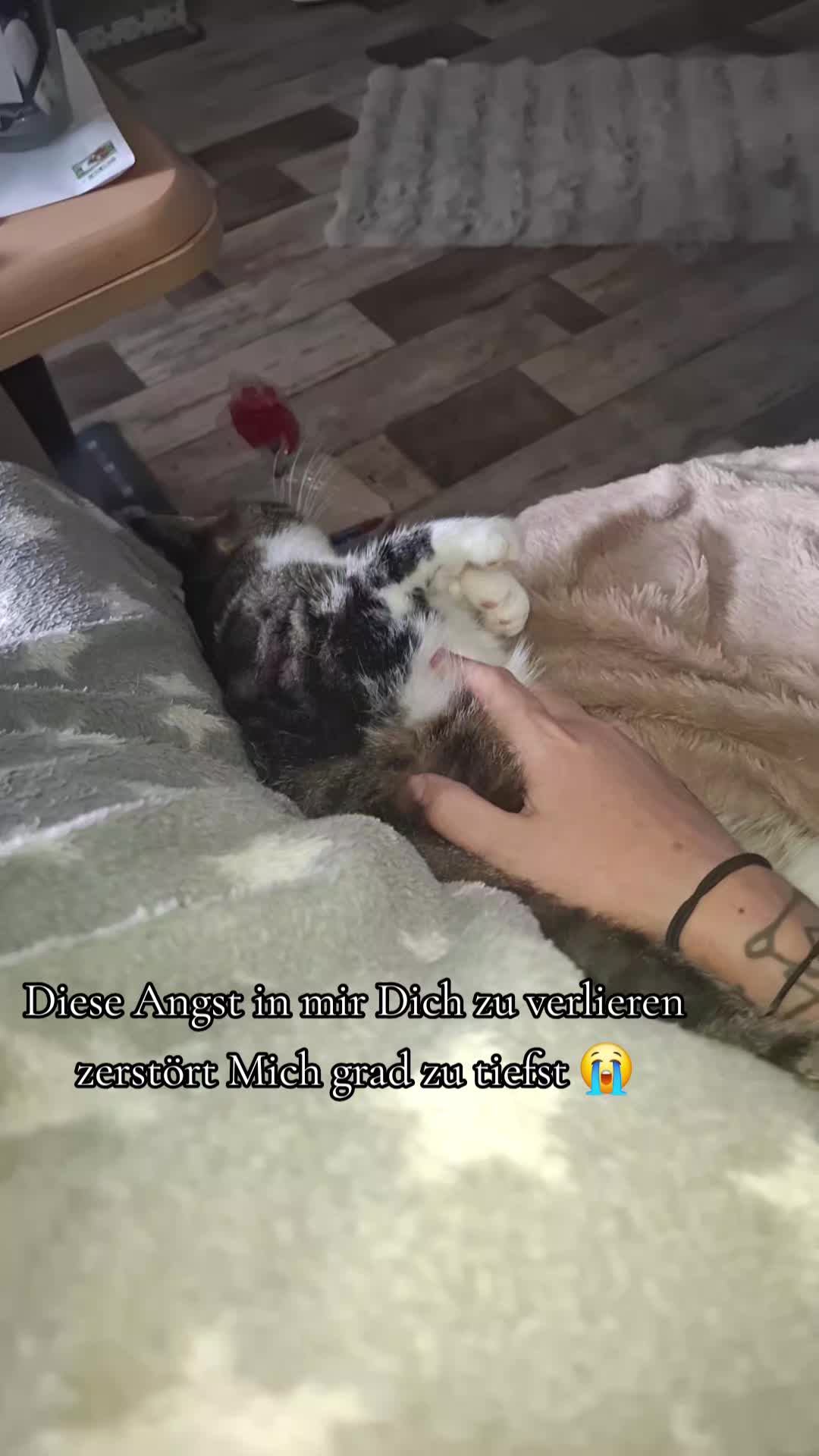 @★🖤ĄŊŊĮ🖤★