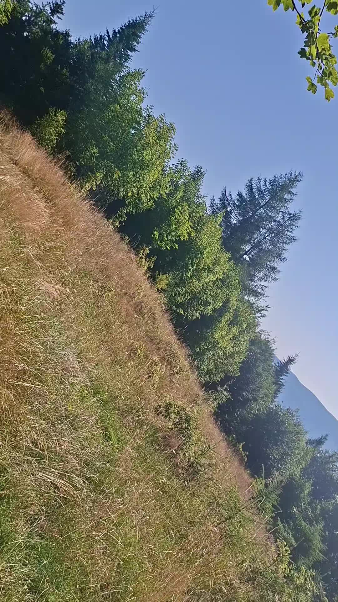 @Kasiunia 🇵🇱🇩🇪