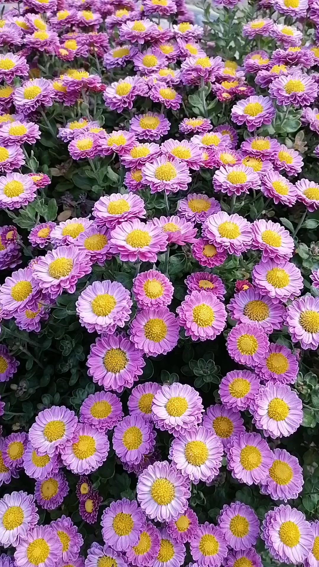 @Татьяна