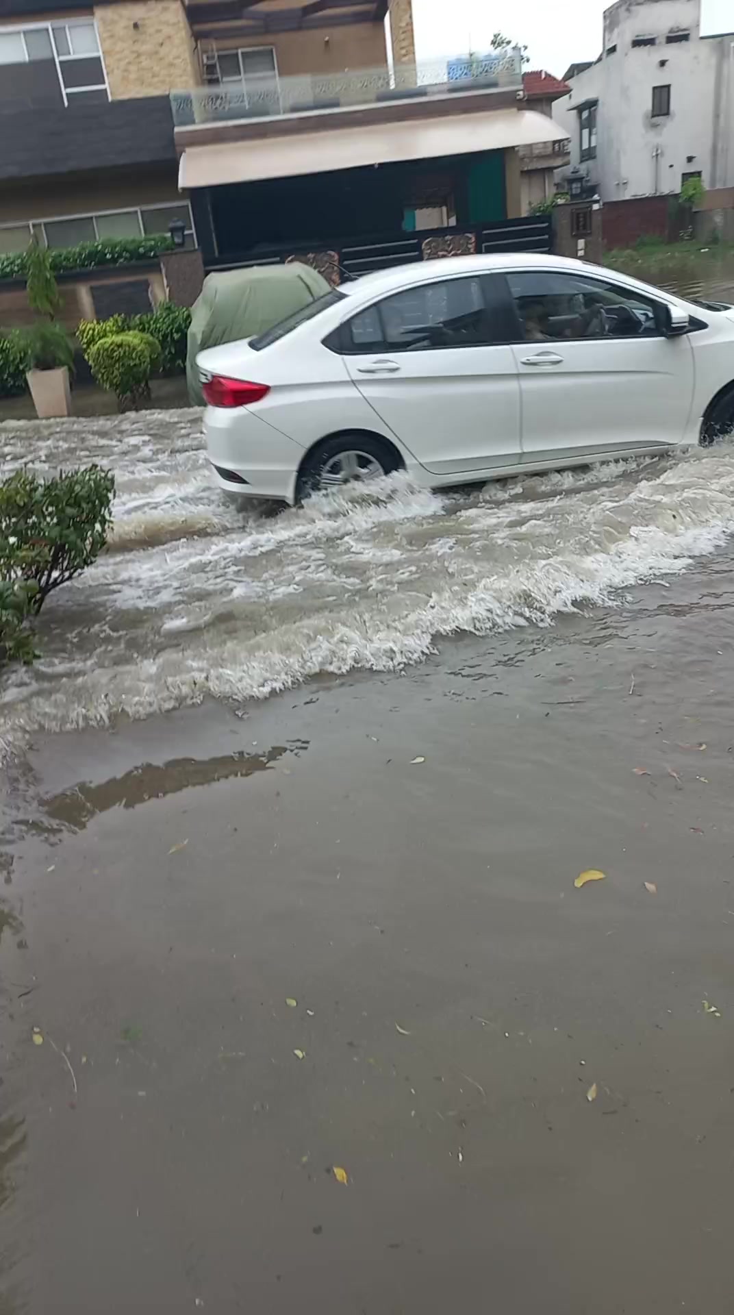 @Irfan laliya 🇵🇰