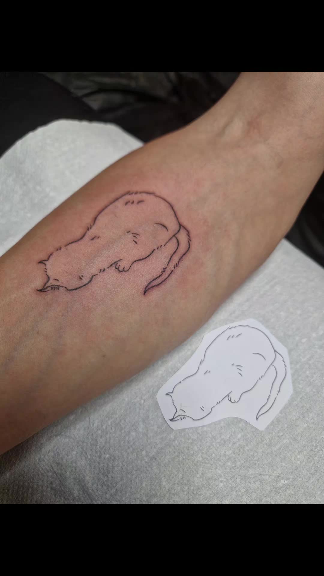 @skullpigments