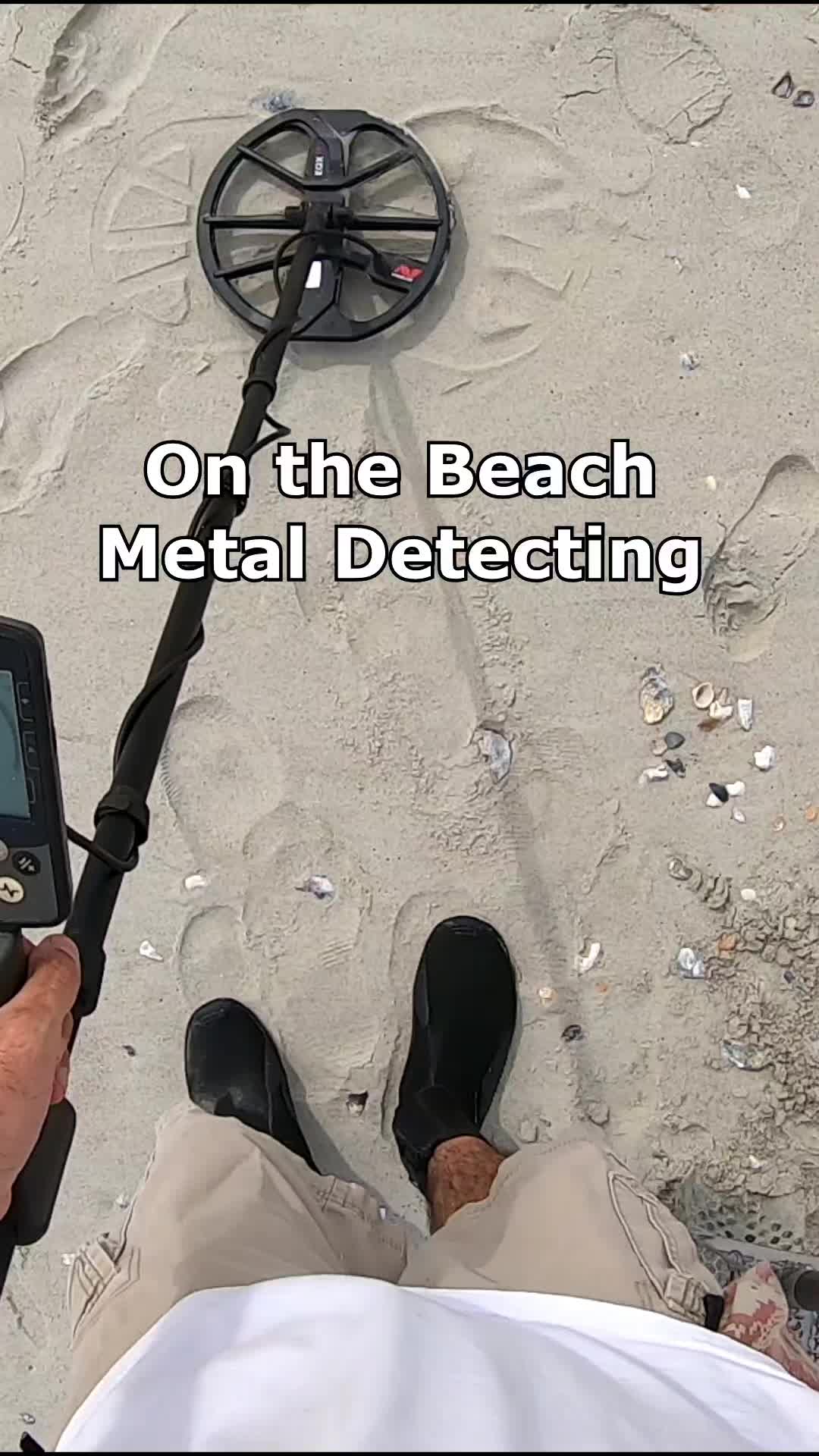 @detectormoe