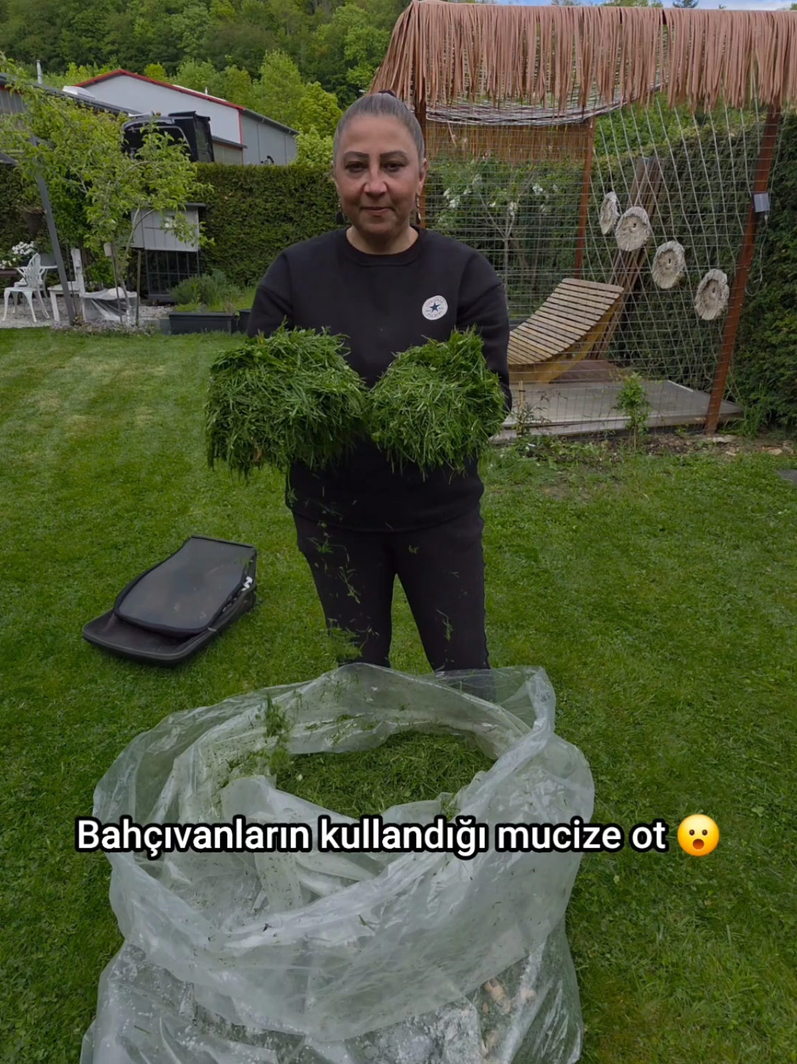 @meralworld