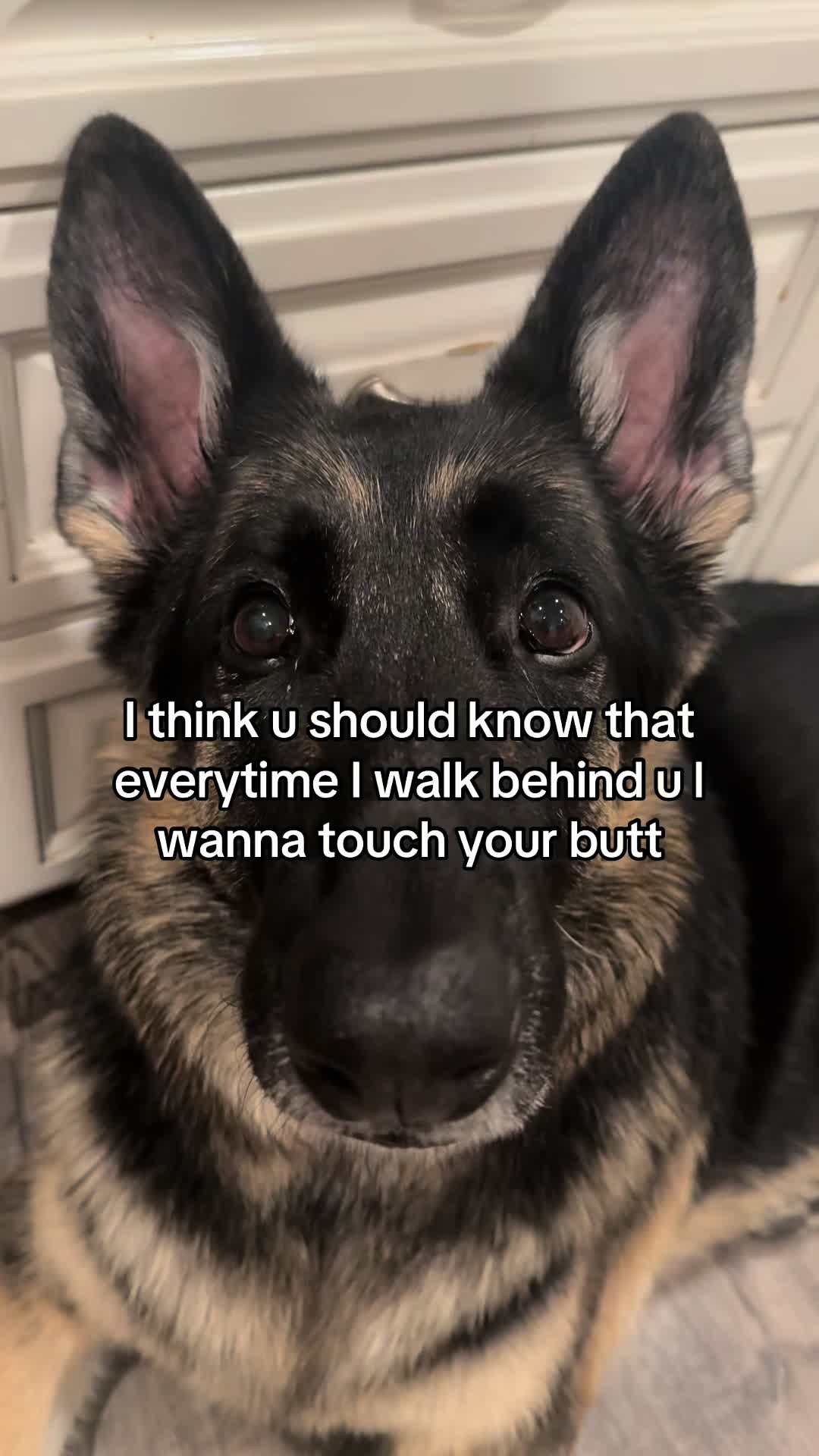 @Bhris