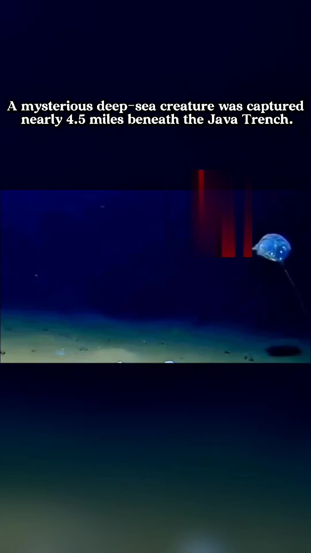 @DeepFearX