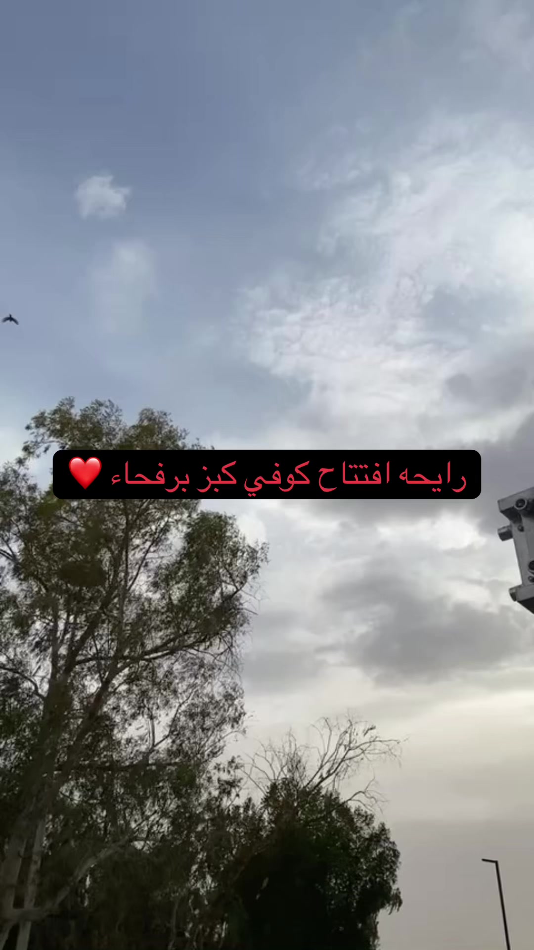 @أبتسام الشمري