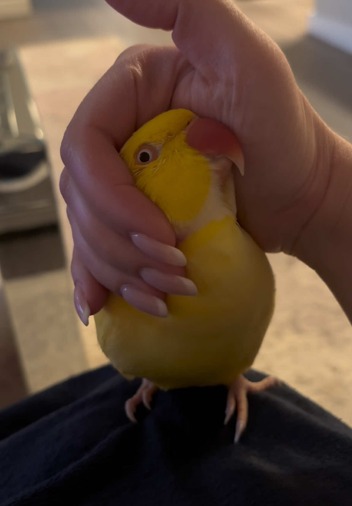 @TWINKIE 🐥