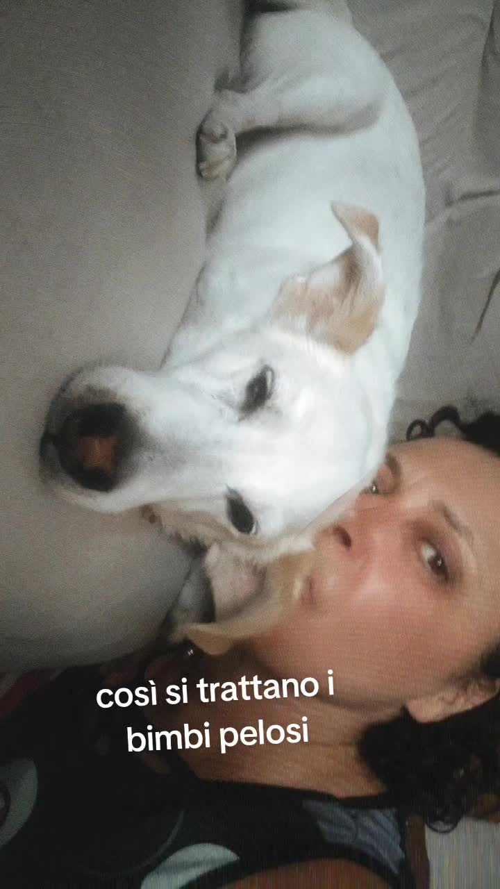@Katia Sarrini